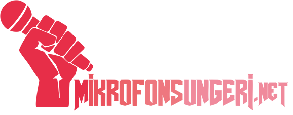 Mikrofon Süngeri