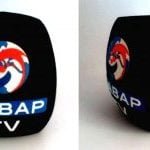 Logolu Mikrofon Süngeri Baskı